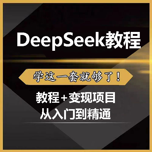 DeepSeek从入门到精通+各种变现项目-小伙狸