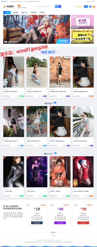 帝国cms街拍素材写真站源码 带图片数据和采集规则-小伙狸